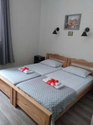 Гостевой дом Guest House Lion Тбилиси Двухместный номер с 2 отдельными кроватями-6